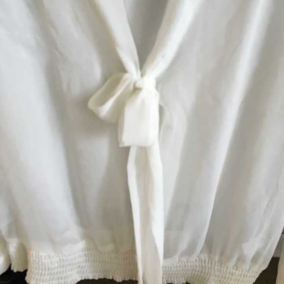 Sheer Blouse - Picture 2 of 3